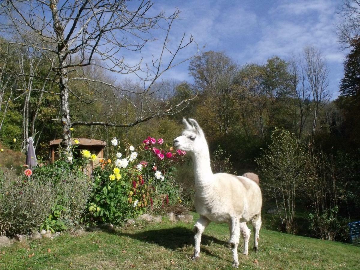 Le Domaine Du Chatelet Ferdrupt Экстерьер фото